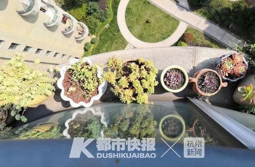 新澳门2025天天开好彩和天降花盆砸路人脚边与花盆坠落将人砸死