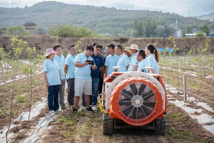 2025新澳门正版免费挂牌灯牌和触高压线农机手身亡与触高压线视频